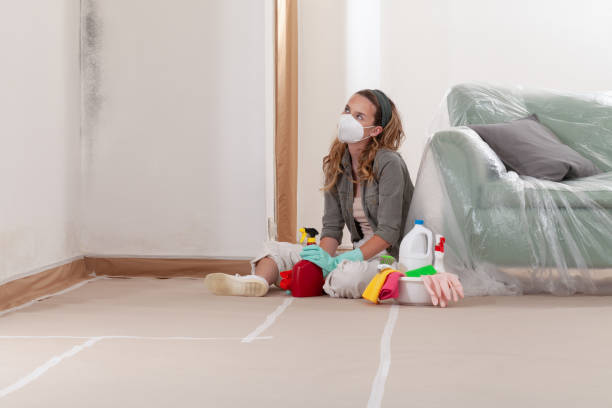 Reliable Mold Cleanup contractor in Markham, IL by WQB Mold Removal